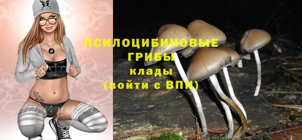 a pvp Нея